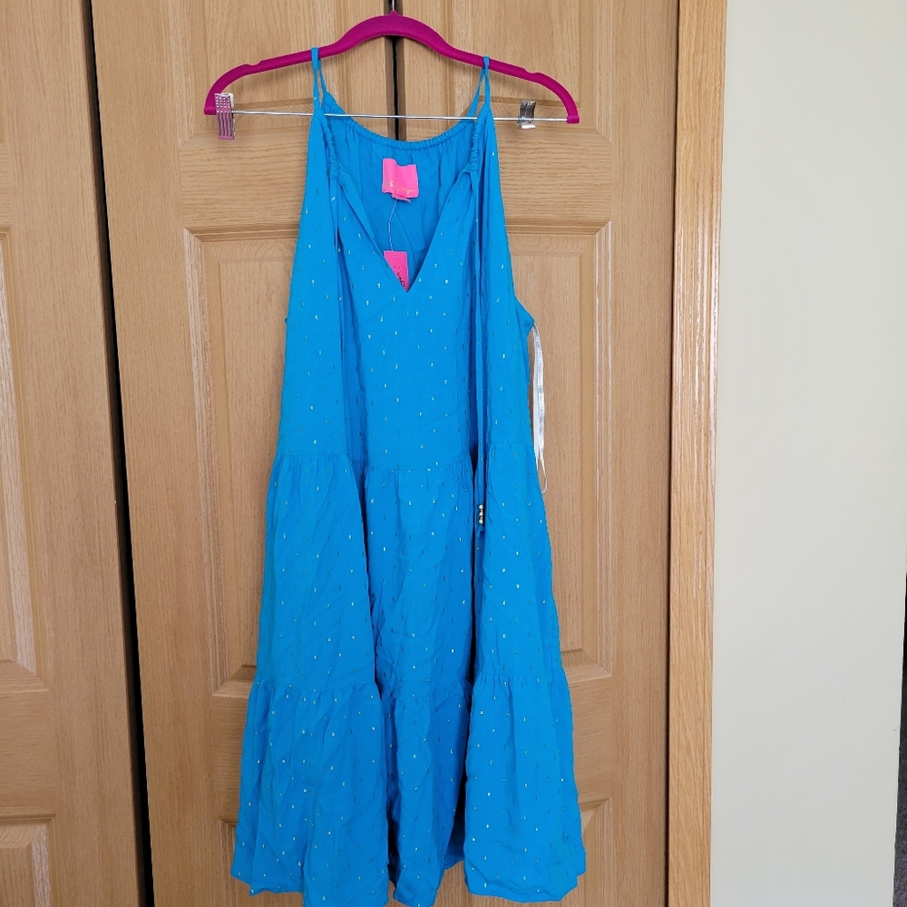 Litia swing dress